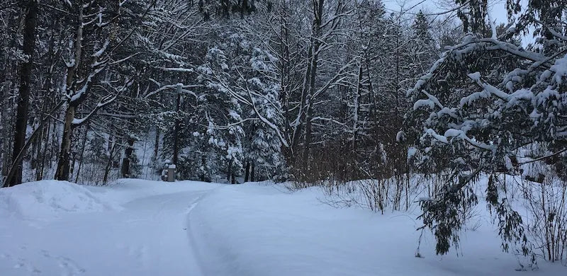 Our Cheese Care Manager spends a week in Vermont