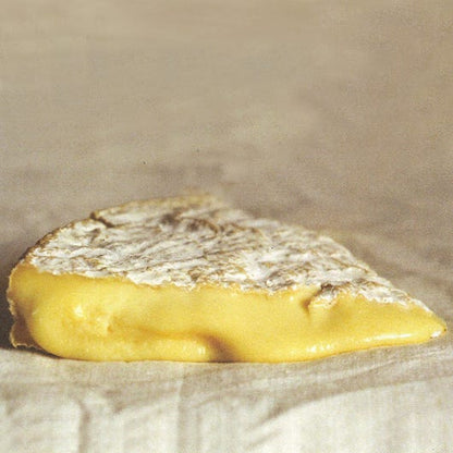 Brie Dongé